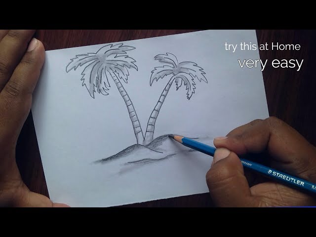 3 Best Palm Tree Drawing Tutorials with No Art Experience | by Drawism Art  | Medium
